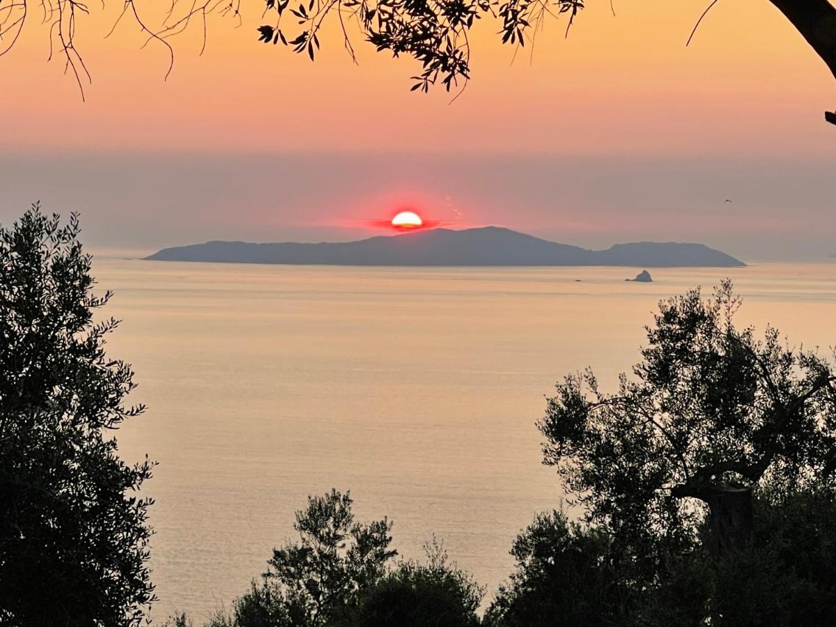 Arillas Hillside Villa 3 - Provence Εξωτερικό φωτογραφία